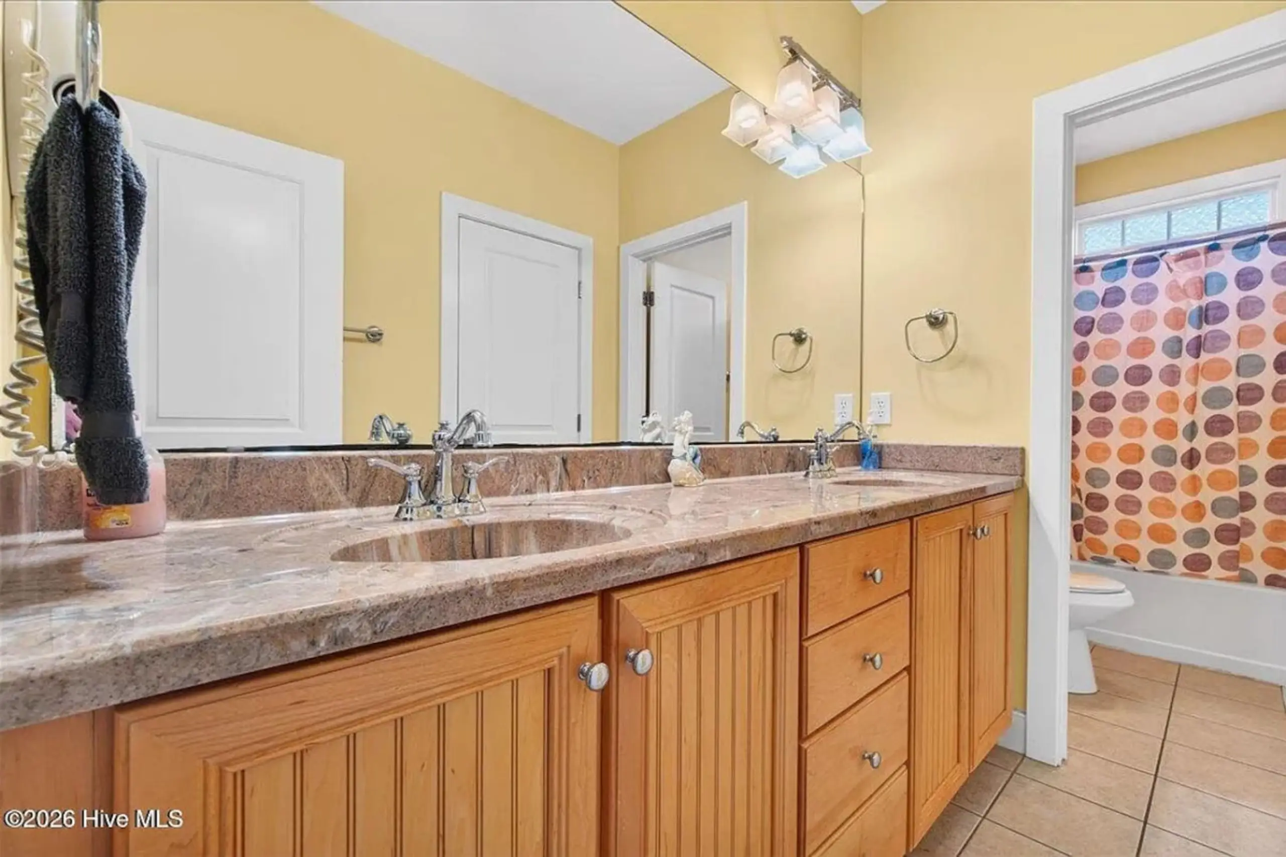 Double sink bathroom vanity with wooden cabinets